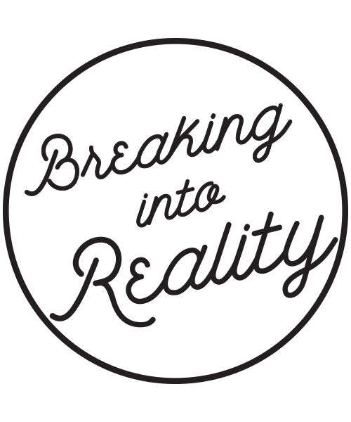 Breaking into Reality Logo